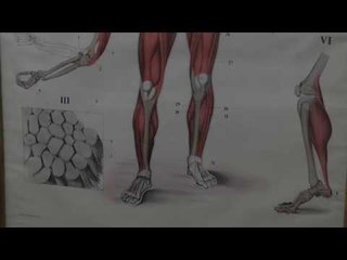 QKMP në Gjakovë mban primatin e shërbimeve shëndetësore - Lajme