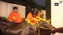 Karnataka elections 2018: B Sriramulu performs a Gau Pooja