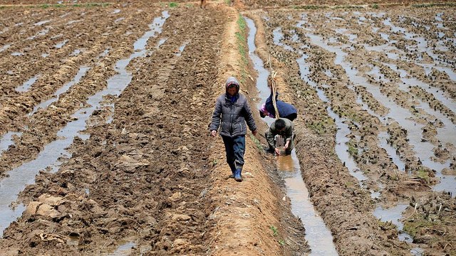 Usa: Aiuti alla Corea del Nord se rinuncia ad armi nucleari