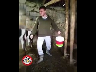 Stop - Humor nga gurra popullore...kur plaka të vëzhgon një herë që të del fati...!!!