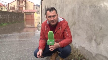 Përmbytjet në Shkodër, bashkë me ujin dhe peshqit në rrugë - Top Channel Albania - News - Lajme