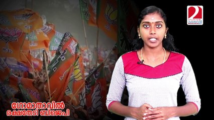 Karnataka election bjp camp issues