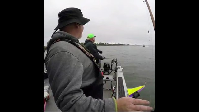 Race 3 | Official Teaser Trailer | Salman Khan | Anil Kapoor | Jacqueline Fernandez | Bobby Deol