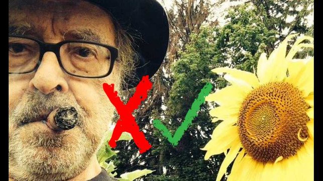 Festival de Cannes: Le livre d'image de Godard réussit-il le test de Bechdel?