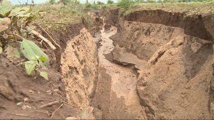 Kenya floods: Search for survivors continues