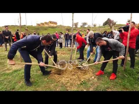 Ora News - Veliaj nuk përjashton mundësinë për rikandidimin për Bashkinë e Tiranës