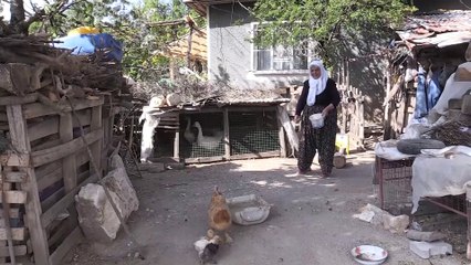'Cumhurbaşkanımız okuma yazma kursunu açtı, hayalime ulaştım' - BURDUR