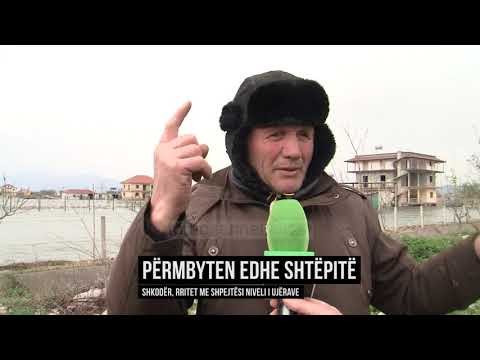 Në Shkodër përmbyten edhe shtëpitë - Top Channel Albania - News - Lajme