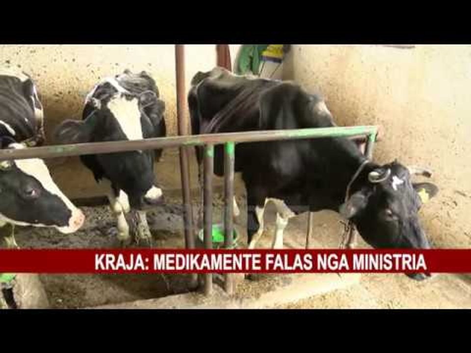 “PLOTËSOHEN NEVOJAT PËR GJËNË E GJALLË”