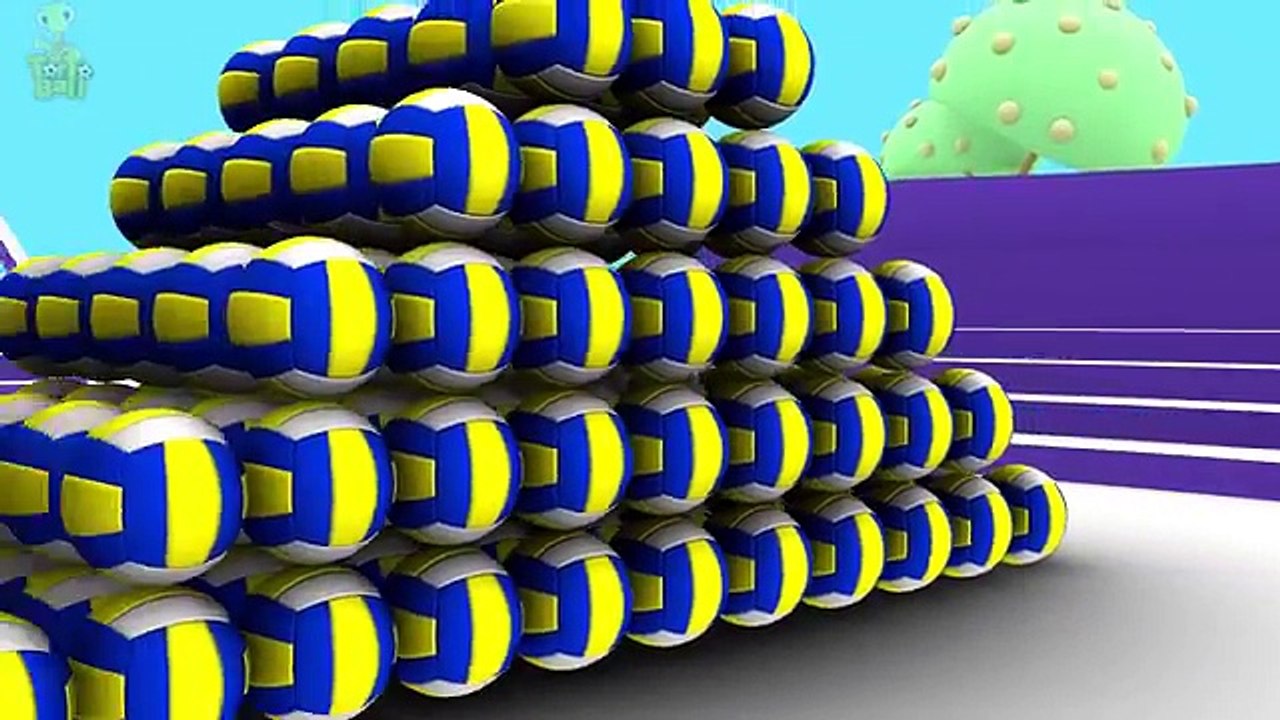 LEARN BALLS - Turtle Painted Soccer ball Bowling ball Basketball For Children and Kids | Torto Ball