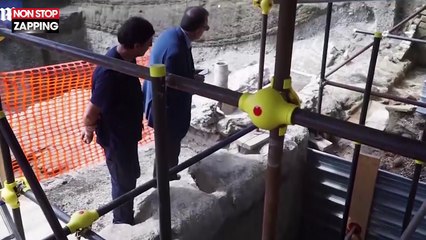 Pompéi : La dépouille d'un cheval retrouvée 2000 ans plus tard ! (vidéo)