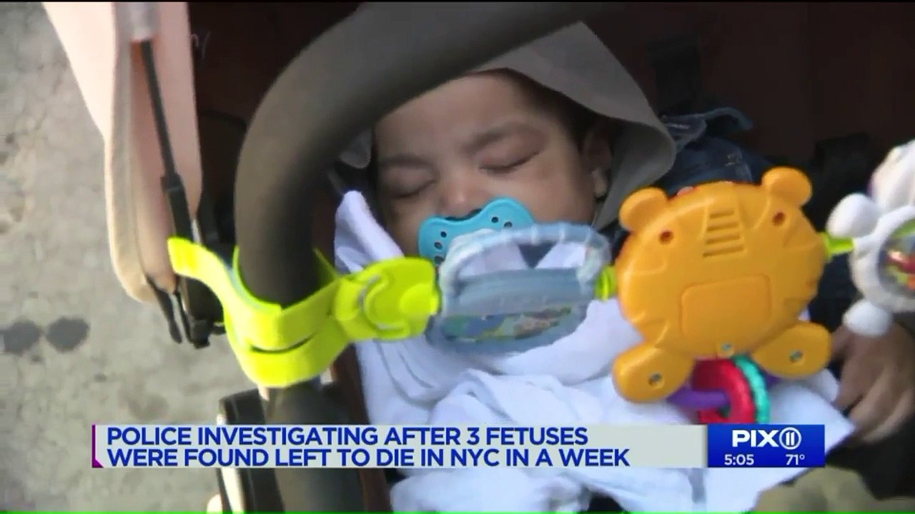 Three Fetuses Found in Trash or Sewage in New York Over the Last Few Days