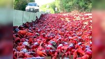 ISLA DE LOS CONEJOS, Y OTRAS MARAVILLAS ANIMALES.