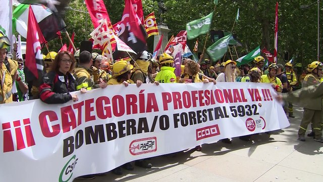Bomberos Forestales reclaman una regulación de su profesión
