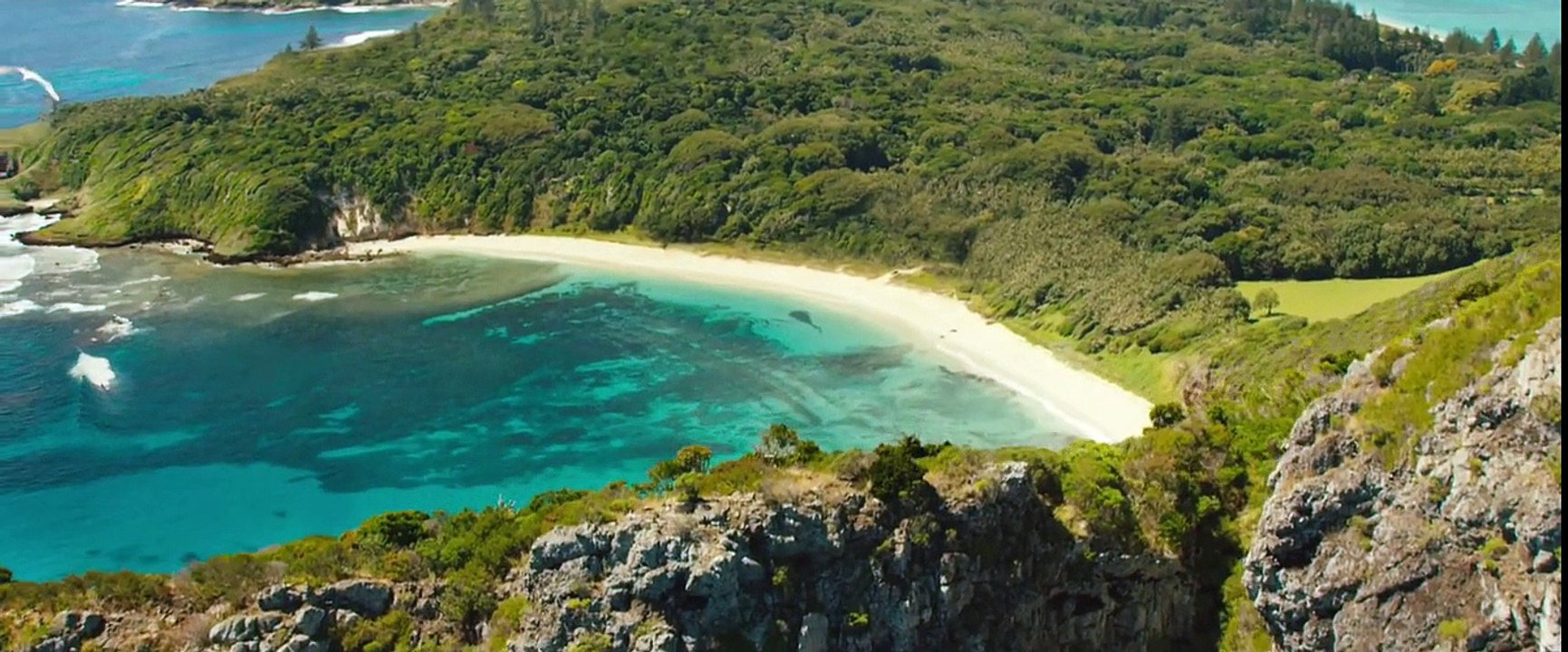 The Shallows Self Reliant Trailer #1 (2016)