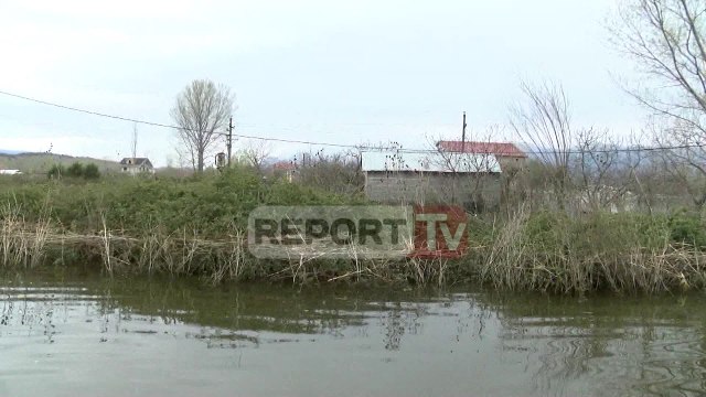Shkodër, situata nga përmbytjet vijon të jetë problematike, qindra shtëpi të rrethuara nga uji