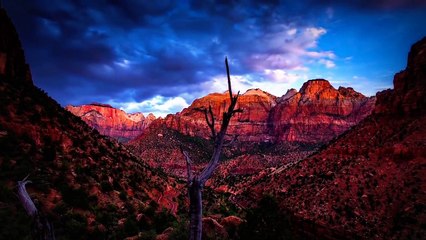 Beautiful Nature Timelapse