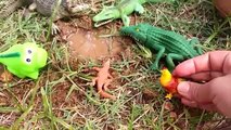 Food Cycle/Alligators Attacking Farm Animals/Lion Attacks The Alligators/Learn ZOO Animals And Color