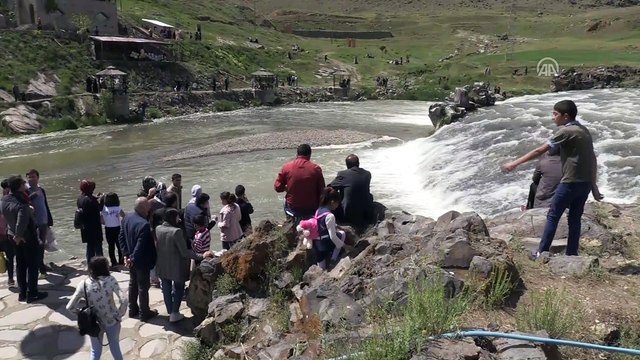 'İnci Kefali Balık Göçü Festivali' - VAN