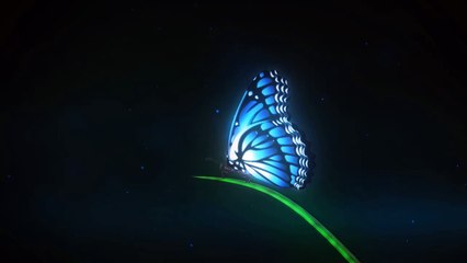 Lincoln Aviator 2019