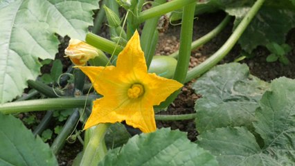 Fermerët s’fitojnë ndihmë - Top Channel Albania - News - Lajme