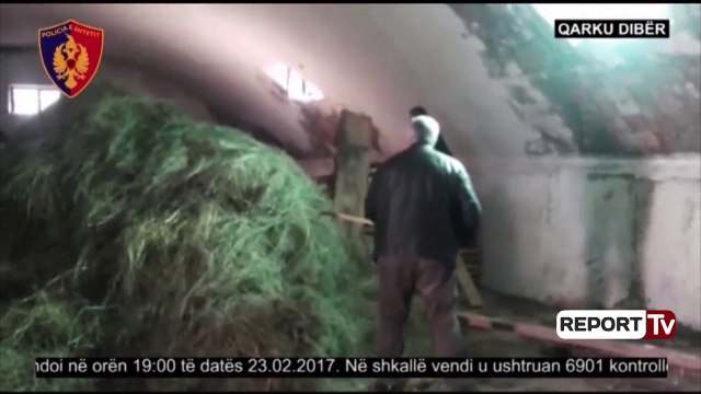 Report TV - Urdhri/ Rikontroll territorit për kanabis, porosi dhe paralajmërime për policët