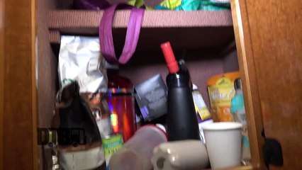 3TEETH - BUS INVADERS Ep. 1294