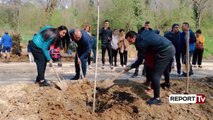 Report TV - Vrapuesit dhe Vëllazëria Ungjillore mbjellin pemë, Veliaj: Bëhuni pjesë e aksionit