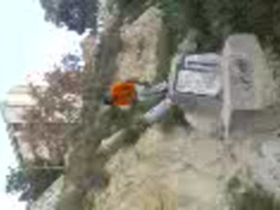 Vídeo000