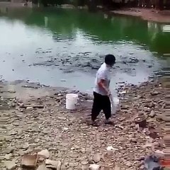 Download Video: Il vient nourrir les poissons dans son lac... Affamés!