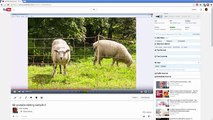 How to Edit Videos Using Youtube Video Editor - split & trim videos