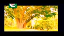 Noor Ul Ain Official Promo 15 _ Imran Abbas _ Sajal Aly _ Pakistan youtube