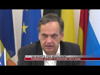 Fleckenstein: Qytetarët të protestojnë, por pa dhunë - News, Lajme - Vizion Plus