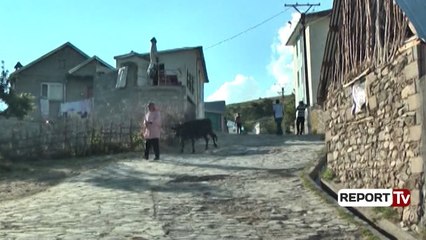 Report TV - Krim në familje në Kukës, burri vret gruan me sëpatë