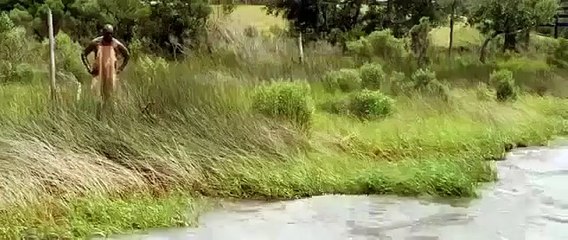 ホットムービー