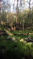 BRIAN GHILLIOTTI: EXPLORING OFF OF I 395 SOUTH IN CONNECTICUT: MORE ROCK PILES, ETC.