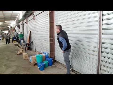 Taksat dhe Vettingu largojnë paratë nga bankat - Top Channel Albania - News - Lajme