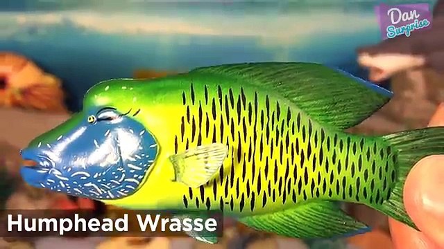 12 STUNNING SEA ANIMALS SURPRISE TOYS 3D PUZZLES for kids - Great White Shark Whale Clownfish