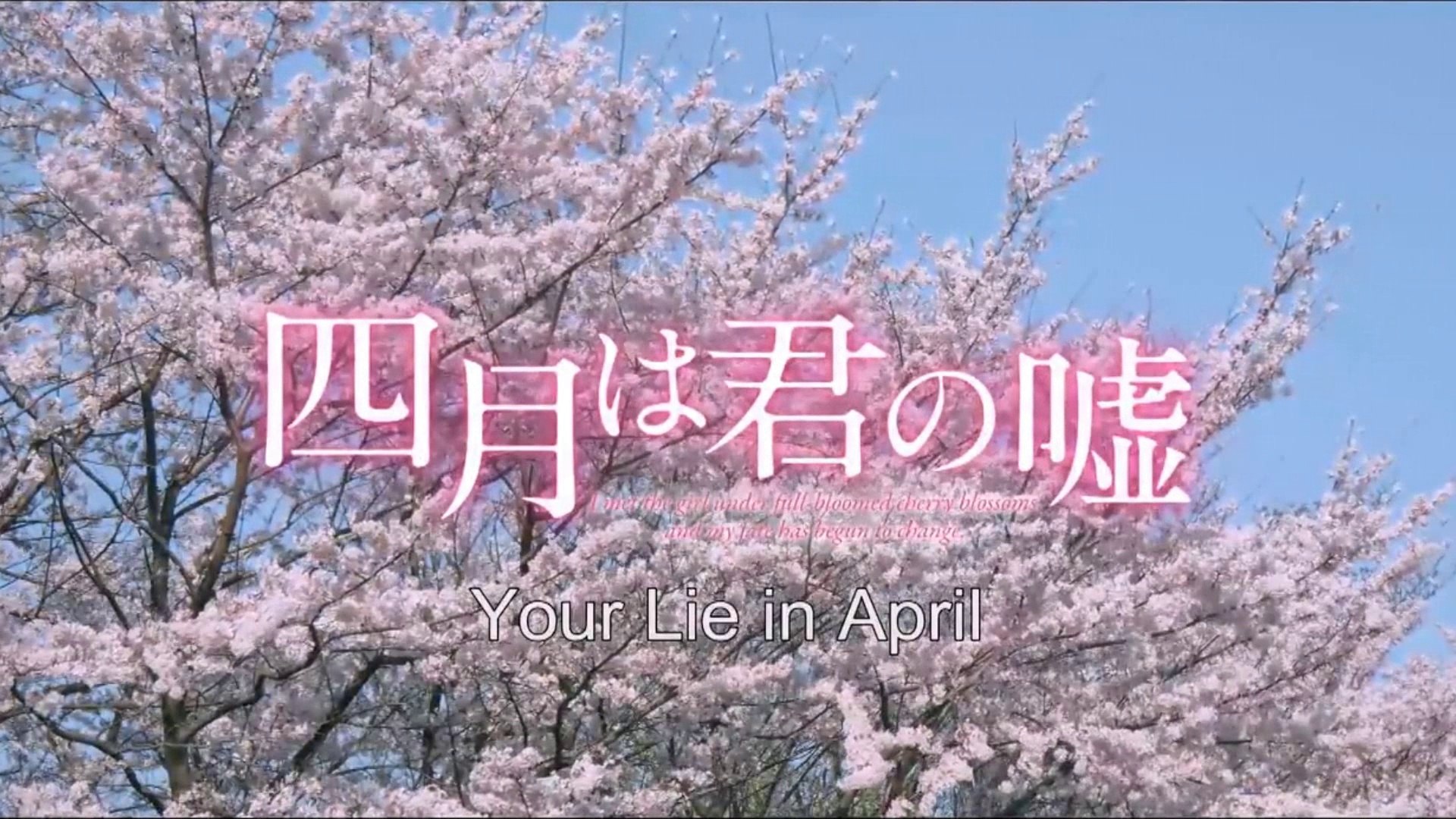 Your Lie In April 2016 Trailer Vost Eng