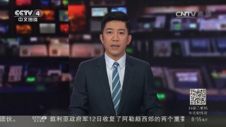 [中国新闻]棕熊当起“证婚人”画风新奇不寻常 | CCTV-4
