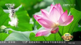 [2016传奇中国节·中秋]主播诗词咏中秋《明月何皎皎》 表演者：周瑛 | CCTV-4