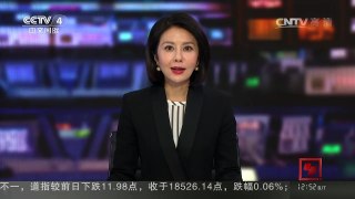 [中国新闻]故宫西部大通道月底将首次开放 | CCTV-4