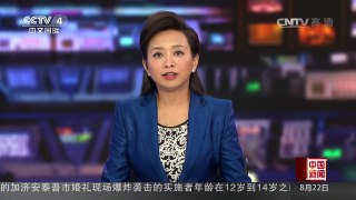 [中国新闻]潘基文谴责土耳其爆炸袭击事件 | CCTV-4