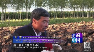《走遍中国》 20160905 黑土地上的聚宝盆 | CCTV-4