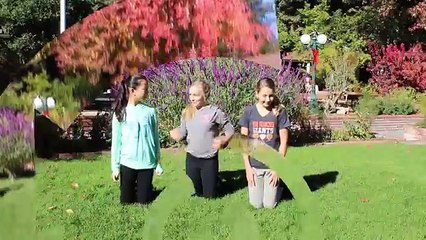 Teaching My Cousins Gymnastics