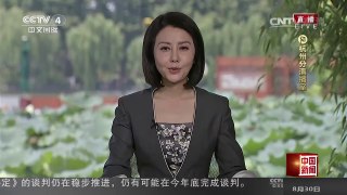 [中国新闻]B20就业工作组联合主席：中国给G20峰会带来巨大改变 | CCTV-4