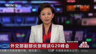 [中国新闻]外交部副部长张明谈G20峰会 | CCTV-4