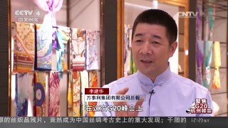 [中国新闻]江南丝绣演绎中国文化 用创意打动世界 | CCTV-4