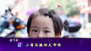 《走遍中国》 20160817 小商品撬动大市场 | CCTV-4