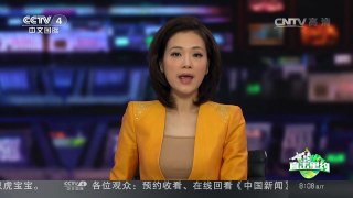 [中国新闻]男子举重56公斤级 龙清泉破世界纪录夺冠 | CCTV-4